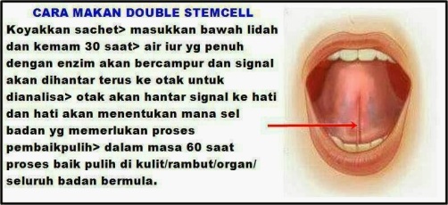 double-stem-cell-cara-makan